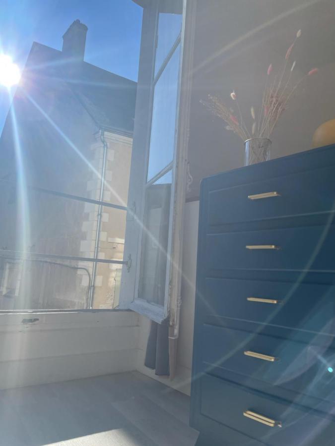 Le Relais Du Petit Lion Apartment Blois Luaran gambar