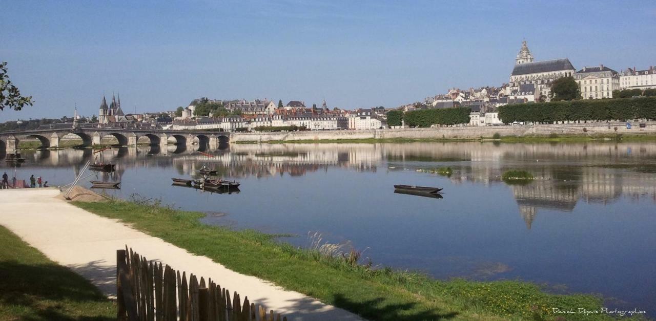 Le Relais Du Petit Lion Apartment Blois Luaran gambar