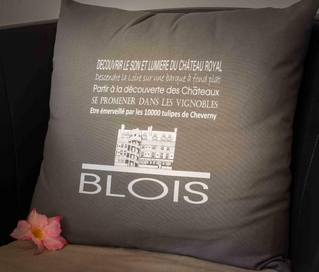 Le Relais Du Petit Lion Apartment Blois Luaran gambar