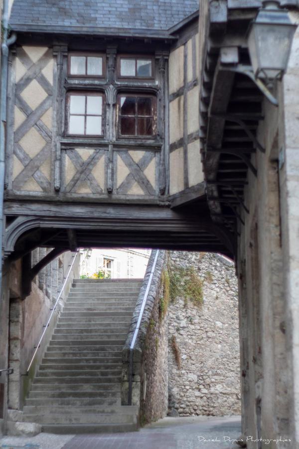 Le Relais Du Petit Lion Apartment Blois Luaran gambar